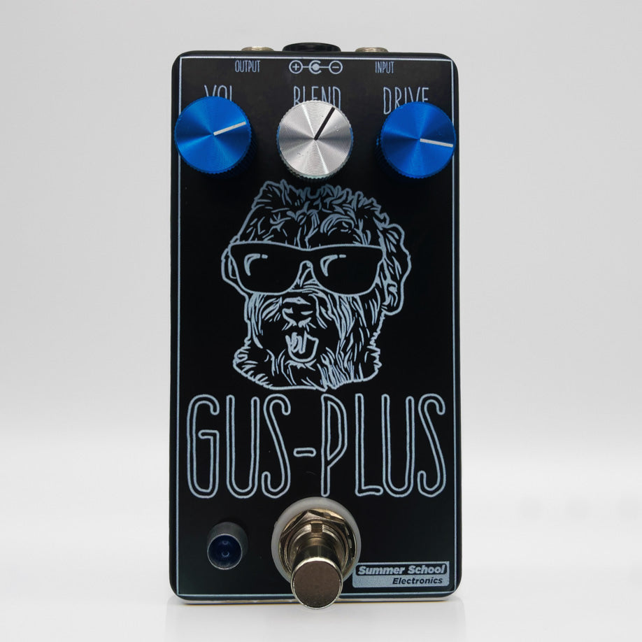 Summer School Electronics - Gus-Plus