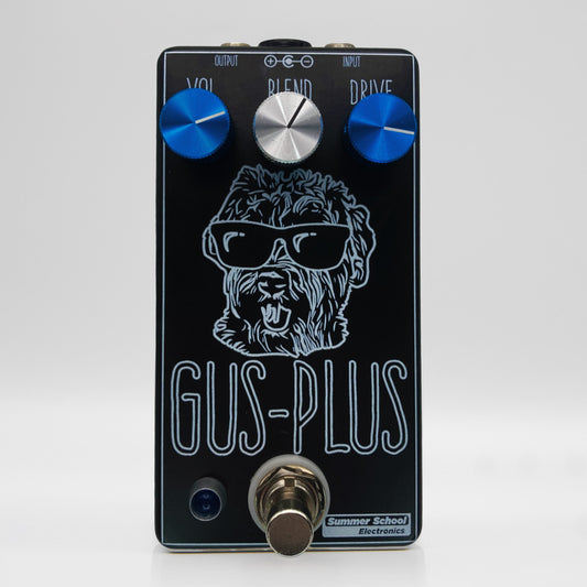Summer School Electronics - Gus-Plus